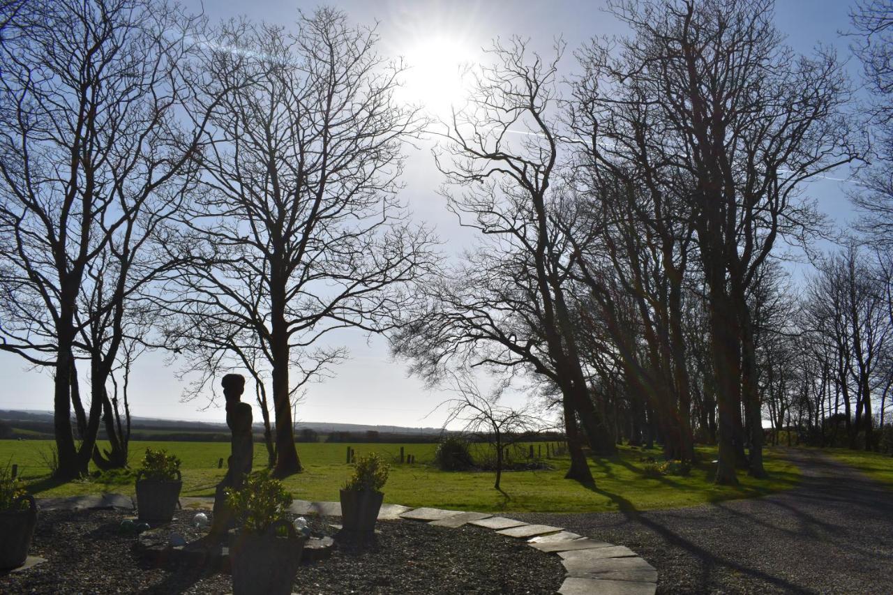 Crug Glas Country House St. Davids (Pembrokeshire) Exterior foto