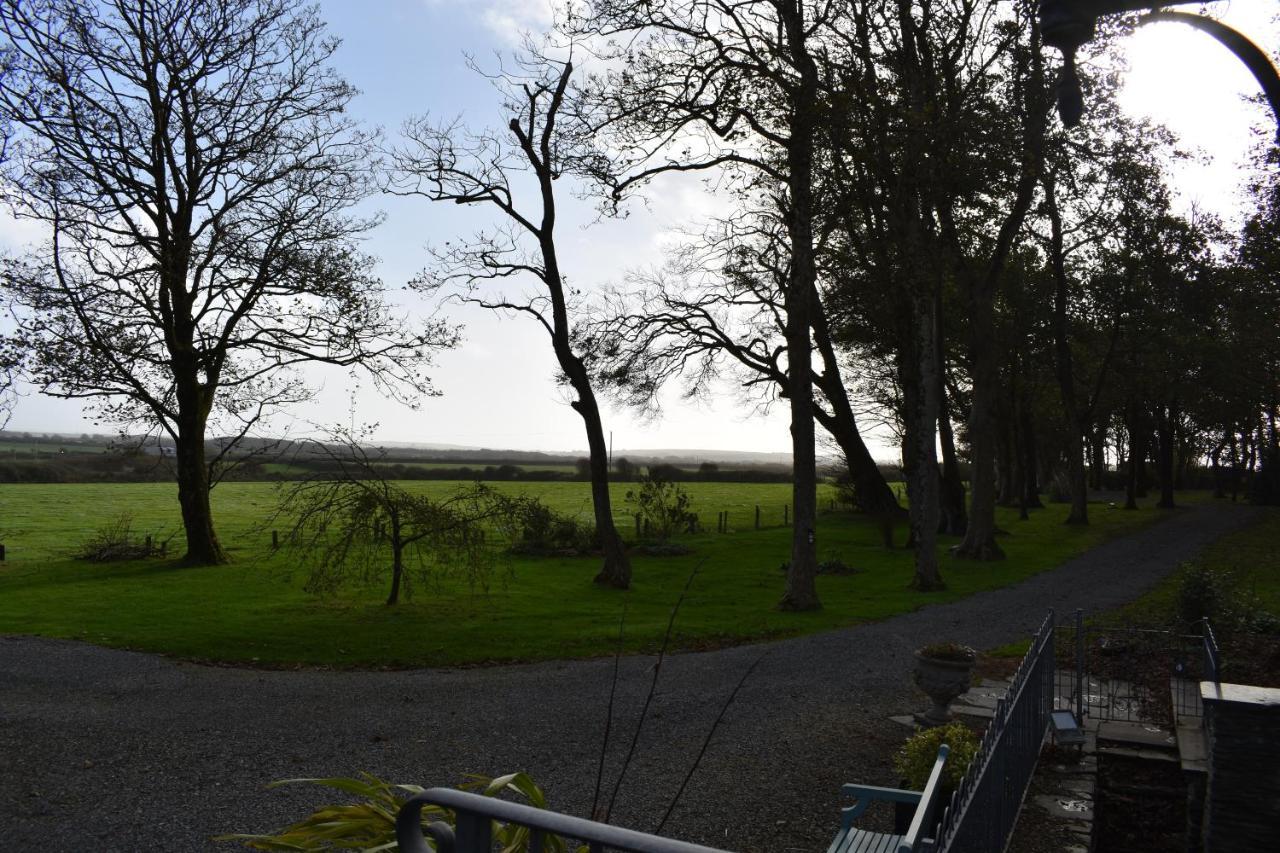 Crug Glas Country House St. Davids (Pembrokeshire) Exterior foto