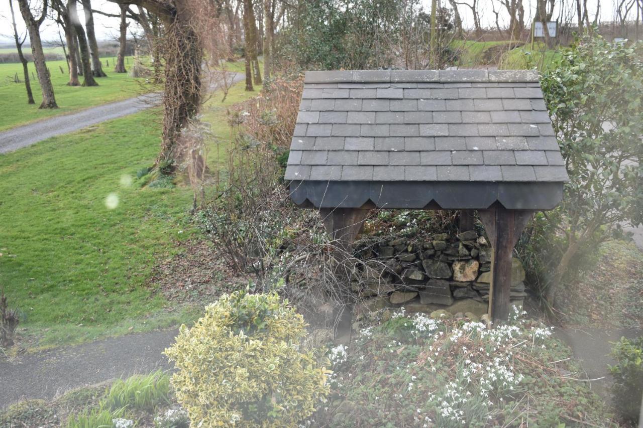 Crug Glas Country House St. Davids (Pembrokeshire) Exterior foto