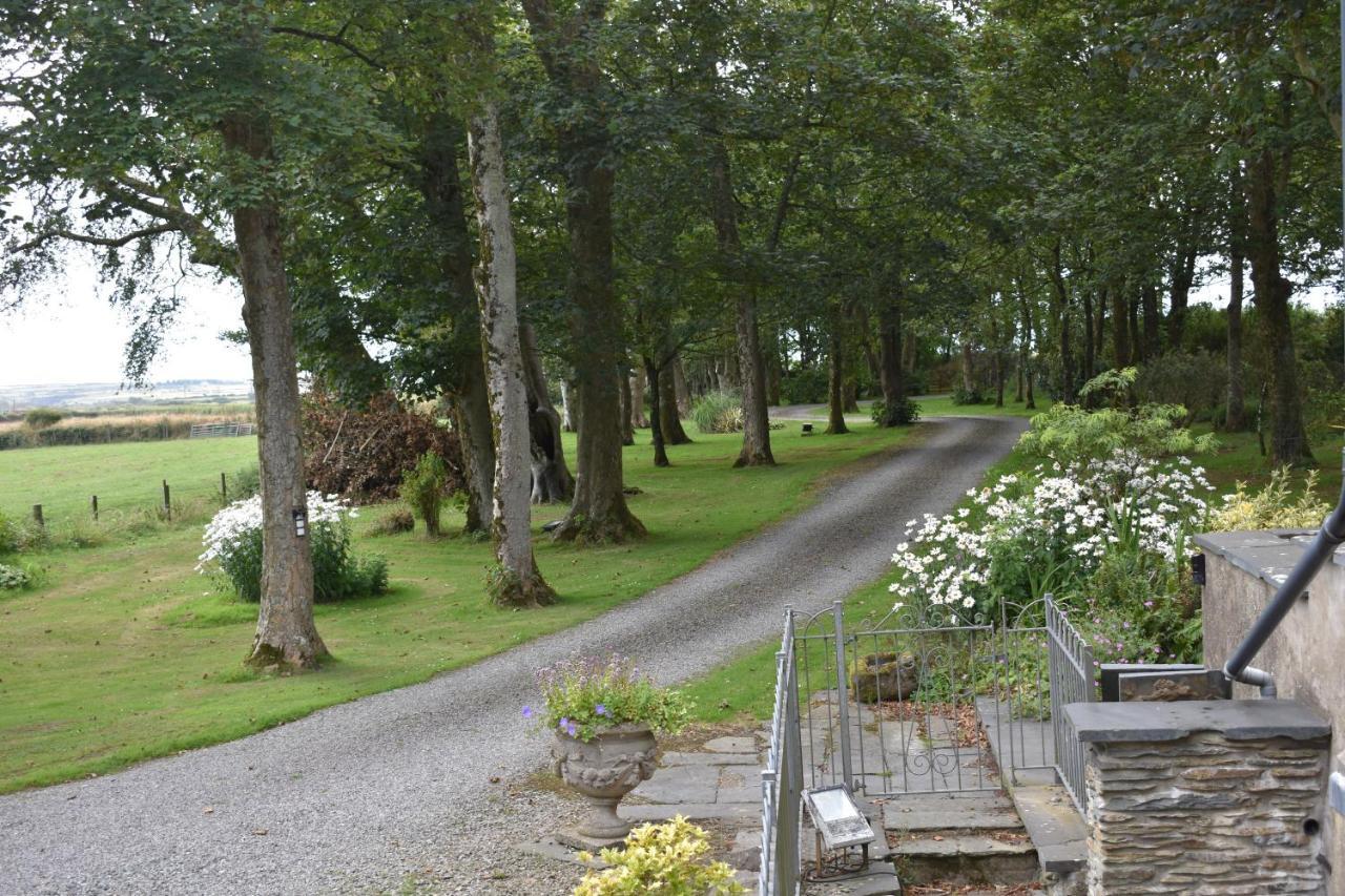 Crug Glas Country House St. Davids (Pembrokeshire) Exterior foto